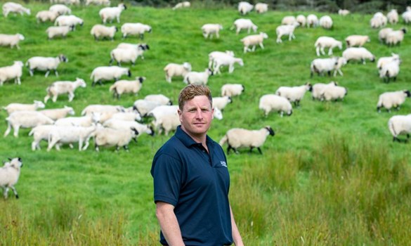 sheep farmer stood in his field of sheep